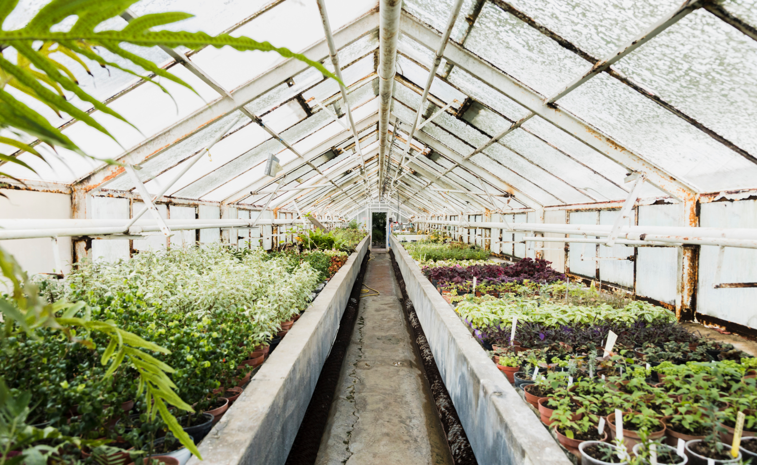Vermont Farm Fund