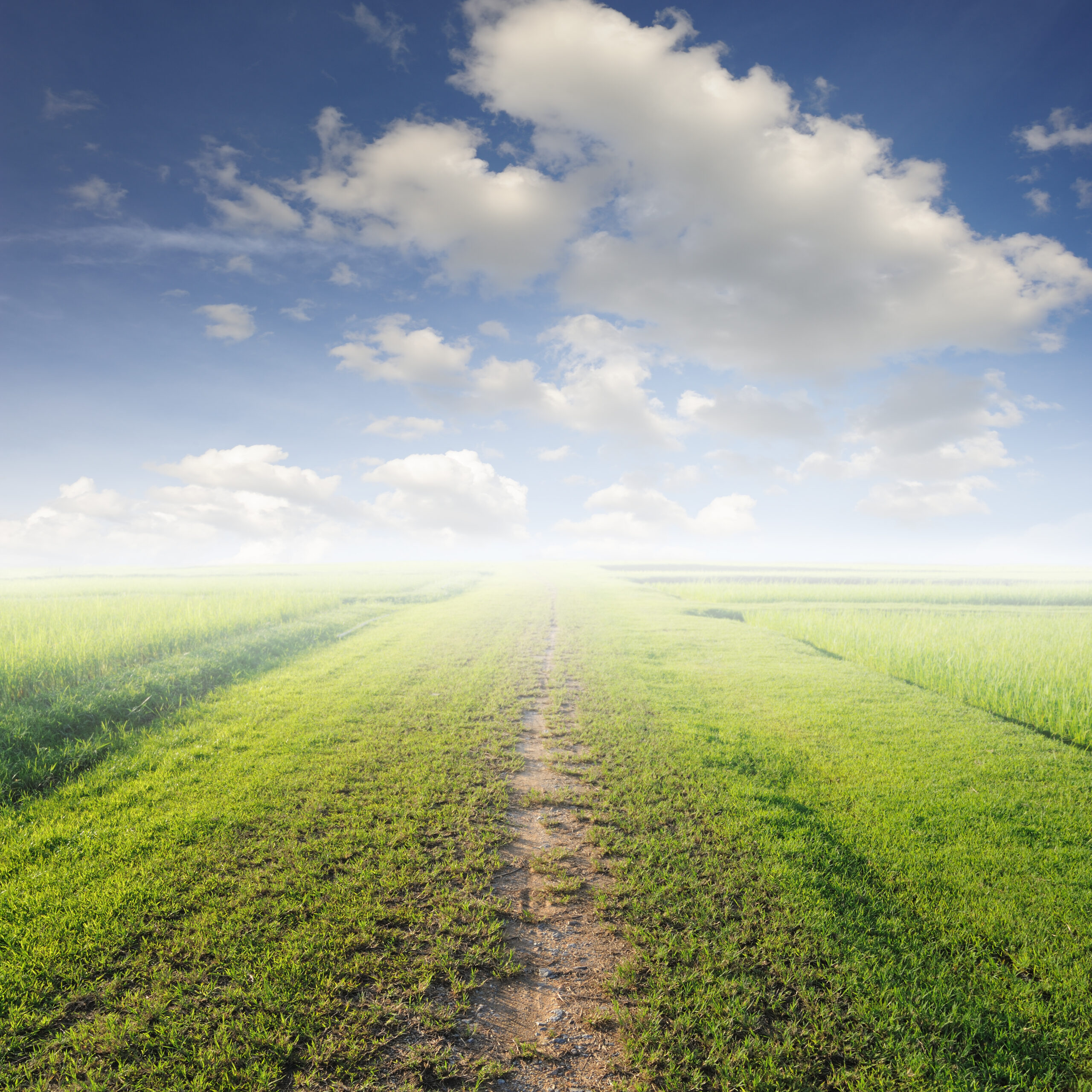Farm & Food Business Resources