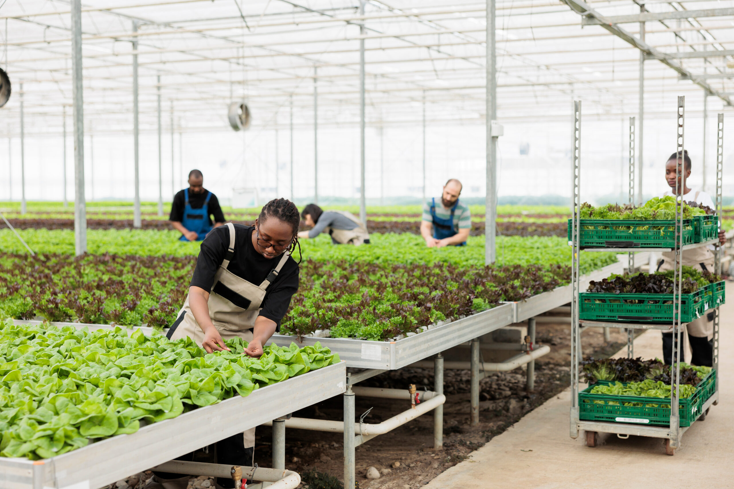 Farm Connex